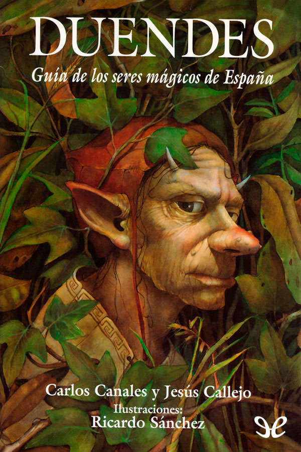 Jesús Callejo