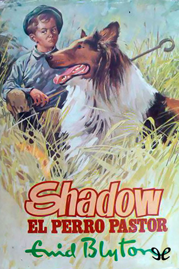 Enid Blyton